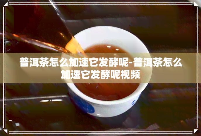 普洱茶怎么加速它发酵呢-普洱茶怎么加速它发酵呢视频