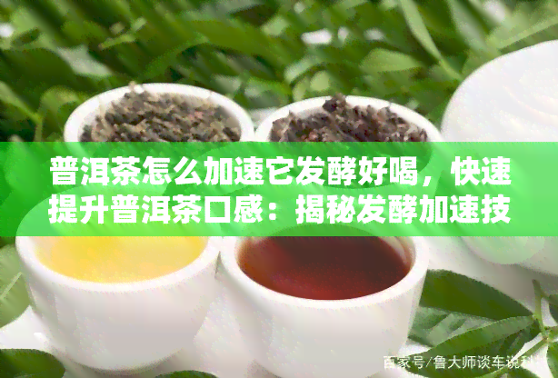 普洱茶怎么加速它发酵好喝，快速提升普洱茶口感：揭秘发酵加速技巧