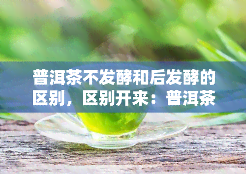 普洱茶不发酵和后发酵的区别，区别开来：普洱茶的不发酵与后发酵有何不同？