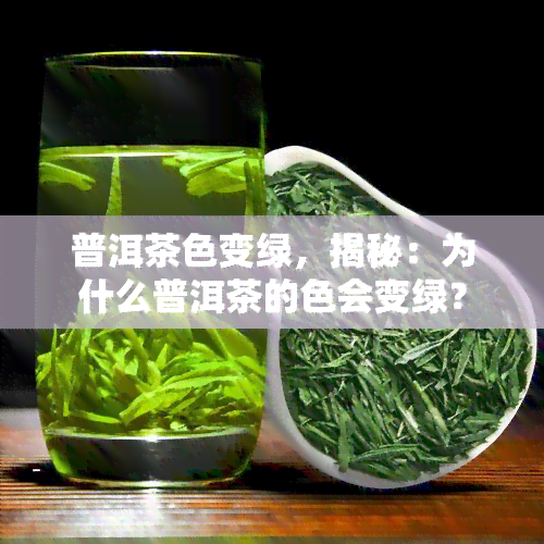 普洱茶色变绿，揭秘：为什么普洱茶的色会变绿？