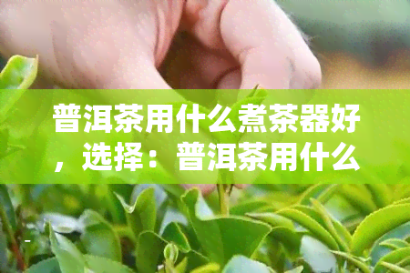 普洱茶用什么煮茶器好，选择：普洱茶用什么煮茶器？