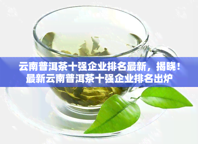 云南普洱茶十强企业排名最新，揭晓！最新云南普洱茶十强企业排名出炉