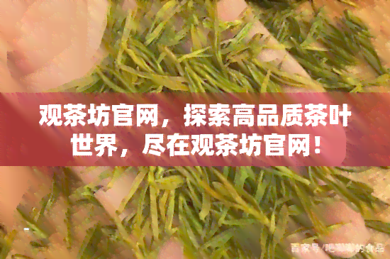 观茶坊官网，探索高品质茶叶世界，尽在观茶坊官网！