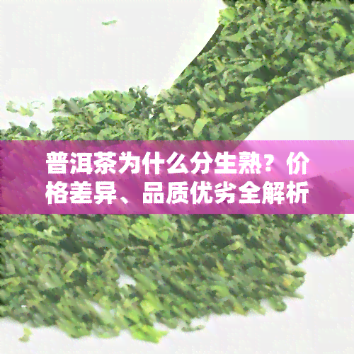 普洱茶为什么分生熟？价格差异、品质优劣全解析