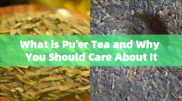 What is Pu'er Tea and Why You Should Care About It