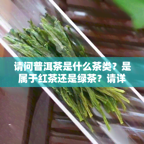 请问普洱茶是什么茶类？是属于红茶还是绿茶？请详细介绍一下普洱茶的品种。