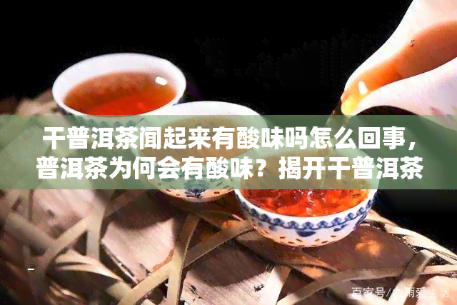 干普洱茶闻起来有酸味吗怎么回事，普洱茶为何会有酸味？揭开干普洱茶闻起来有酸味的谜团！