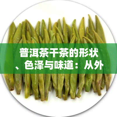 普洱茶干茶的形状、色泽与味道：从外形到冲泡的全面解析