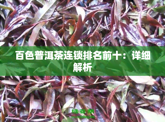 百色普洱茶连锁排名前十：详细解析