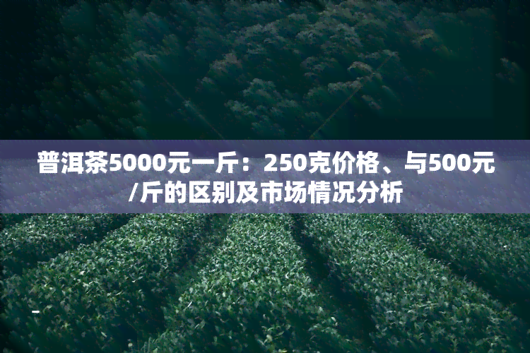 普洱茶5000元一斤：250克价格、与500元/斤的区别及市场情况分析