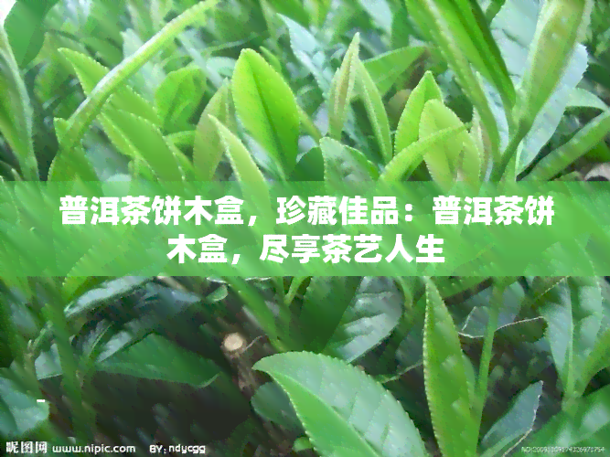 普洱茶饼木盒，珍藏佳品：普洱茶饼木盒，尽享茶艺人生