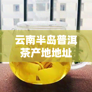 云南半岛普洱茶产地地址在哪里？探究神秘的普洱茶世界