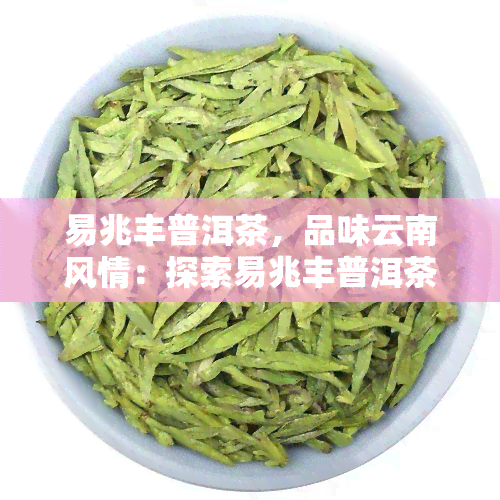 易兆丰普洱茶，品味云南风情：探索易兆丰普洱茶的独特魅力