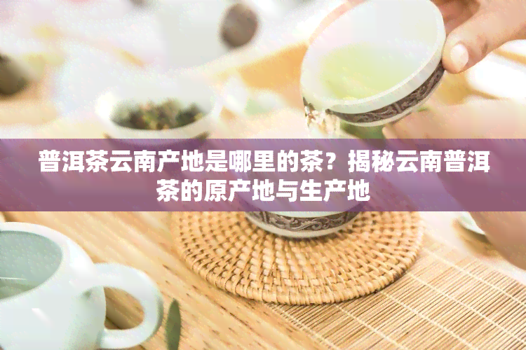 普洱茶云南产地是哪里的茶？揭秘云南普洱茶的原产地与生产地