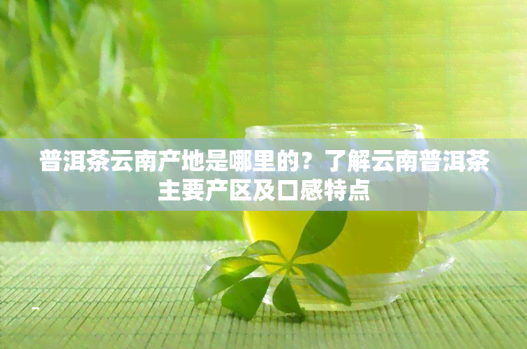 普洱茶云南产地是哪里的？了解云南普洱茶主要产区及口感特点