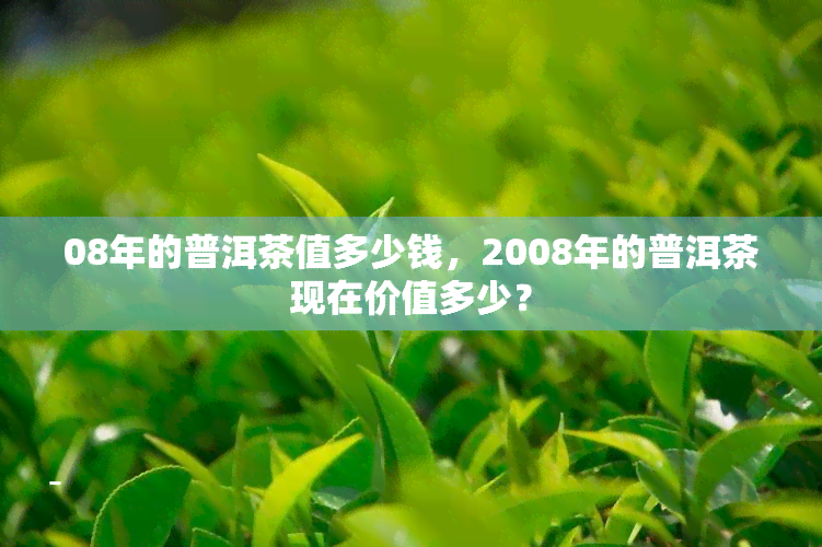 08年的普洱茶值多少钱，2008年的普洱茶现在价值多少？