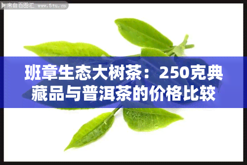 班章生态大树茶：250克典藏品与普洱茶的价格比较