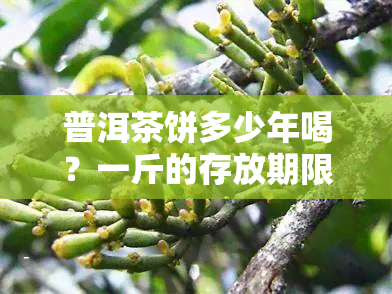 普洱茶饼多少年喝？一斤的存放期限是多久？