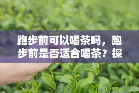 跑步前可以喝茶吗，跑步前是否适合喝茶？探讨其影响与建议