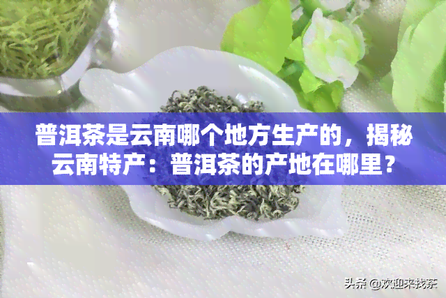 普洱茶是云南哪个地方生产的，揭秘云南特产：普洱茶的产地在哪里？