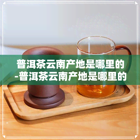 普洱茶云南产地是哪里的-普洱茶云南产地是哪里的茶