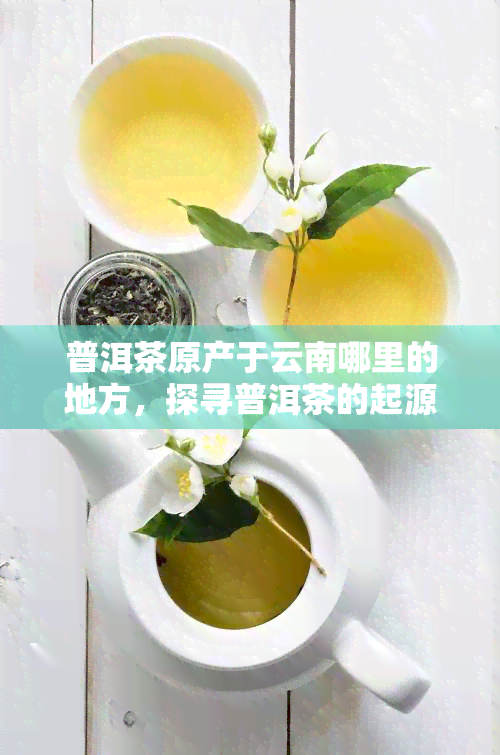 普洱茶原产于云南哪里的地方，探寻普洱茶的起源：云南哪个地方是其故乡？