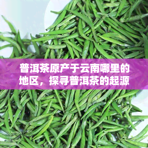 普洱茶原产于云南哪里的地区，探寻普洱茶的起源：揭秘云南哪个地区是其故乡？