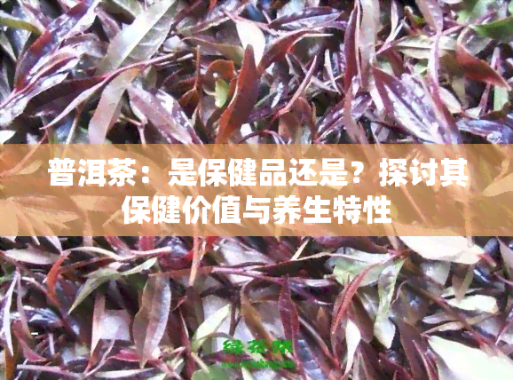 普洱茶：是保健品还是？探讨其保健价值与养生特性