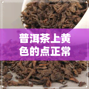 普洱茶上黄色的点正常吗-普洱茶上黄色的点正常吗图片