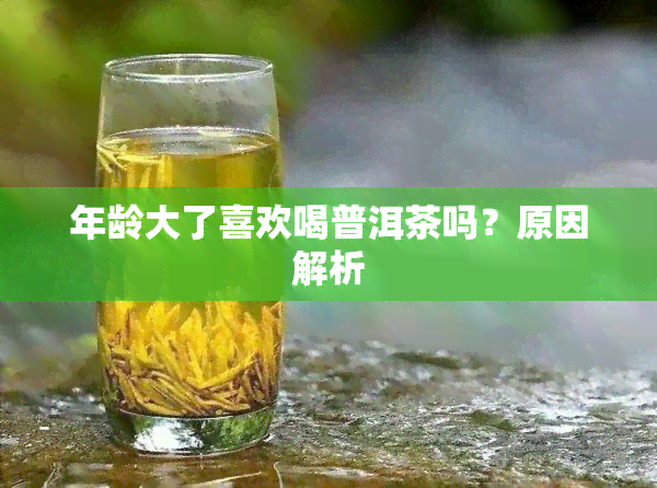 年龄大了喜欢喝普洱茶吗？原因解析