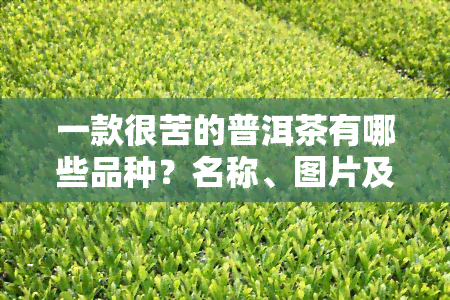 一款很苦的普洱茶有哪些品种？名称、图片及特别苦的介绍