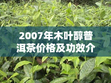 2007年木叶醇普洱茶价格及功效介绍，包括圆茶、五年陈等不同品种的价格分析。