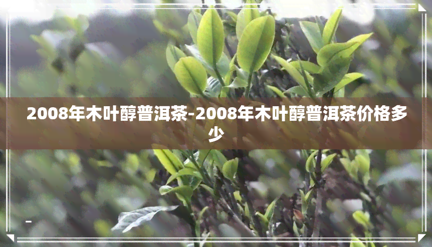 2008年木叶醇普洱茶-2008年木叶醇普洱茶价格多少