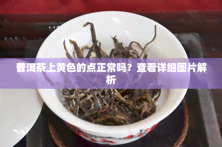 普洱茶上黄色的点正常吗？查看详细图片解析