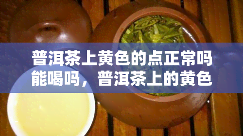 普洱茶上黄色的点正常吗能喝吗，普洱茶上的黄色斑点：正常现象还是不宜饮用？