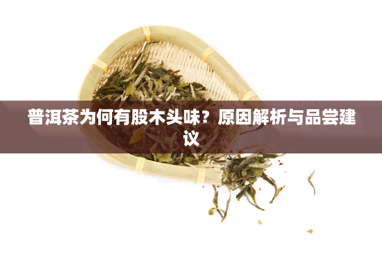 普洱茶为何有股木头味？原因解析与品尝建议