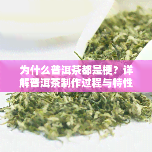 为什么普洱茶都是梗？详解普洱茶制作过程与特性