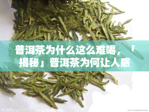 普洱茶为什么这么难喝，「揭秘」普洱茶为何让人感觉“难喝”？原因可能出在这几点……