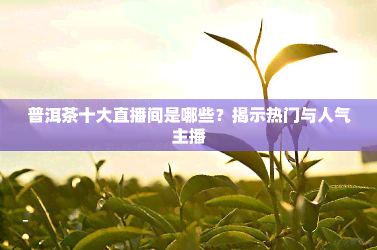 普洱茶十大直播间是哪些？揭示热门与人气主播