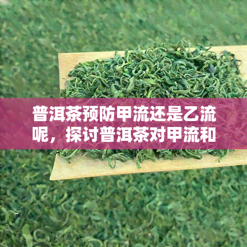 普洱茶预防甲流还是乙流呢，探讨普洱茶对甲流和乙流的预防效果