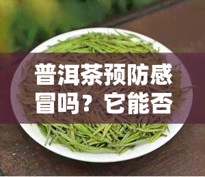 普洱茶预防感冒吗？它能否帮助缓解感冒症状，增强免疫力，降低患病风险？同时，普洱茶对便秘、癌症等疾病有何影响？喝普洱茶是否能预防新型冠状病？探究普洱茶的多重保健功效。