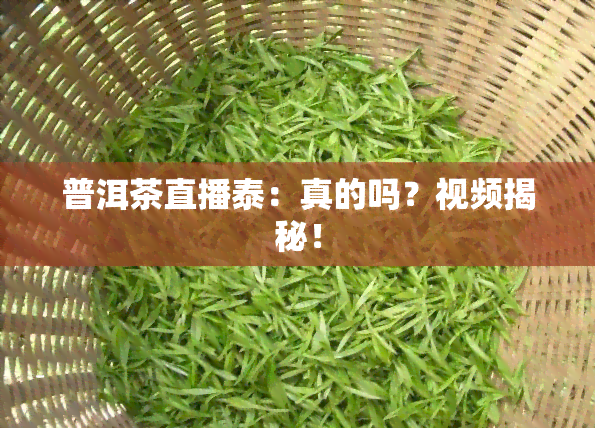 普洱茶直播泰：真的吗？视频揭秘！