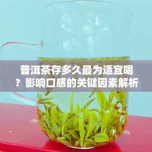 普洱茶存多久最为适宜喝？影响口感的关键因素解析