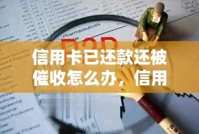 信用卡已还款还被怎么办，信用卡已还款却仍被？解决方案大揭秘！