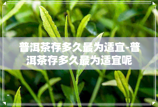 普洱茶存多久最为适宜-普洱茶存多久最为适宜呢