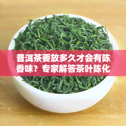 普洱茶要放多久才会有陈香味？专家解答茶叶陈化时间与口感的关系