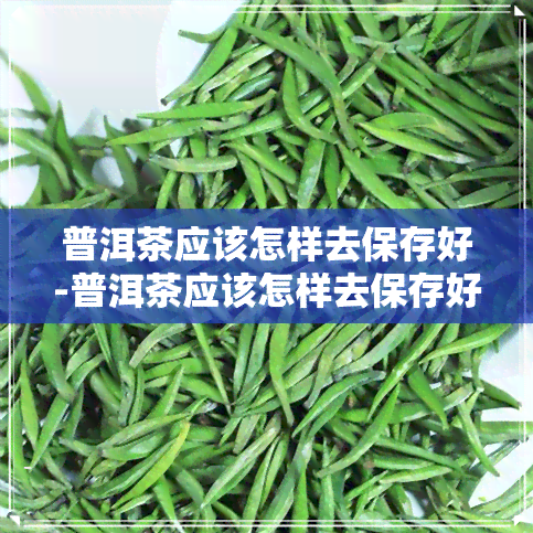 普洱茶应该怎样去保存好-普洱茶应该怎样去保存好呢