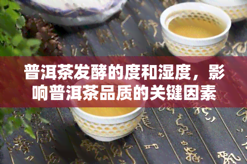 普洱茶发酵的度和湿度，影响普洱茶品质的关键因素：发酵度与湿度的掌控