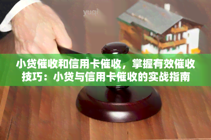 小贷和信用卡，掌握有效技巧：小贷与信用卡的实战指南