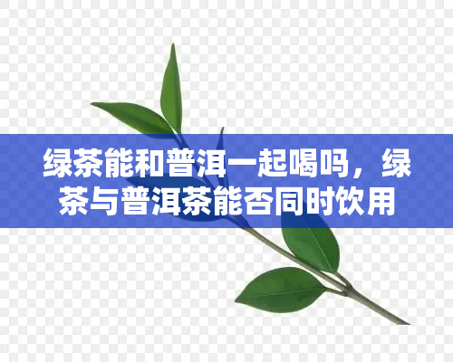 绿茶能和普洱一起喝吗，绿茶与普洱茶能否同时饮用？